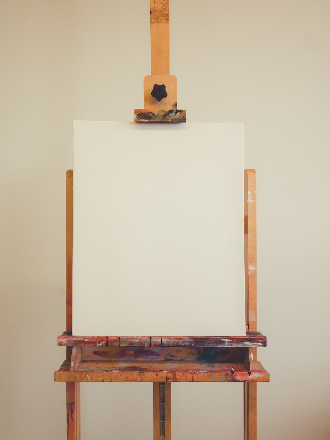 DailyMarket Studio